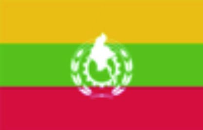 mdnaa flat1